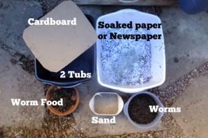 Everything you need for a composting worm bin. Two tubs, 1 or 2 pounds of worms, supports to go between the bins, wet newspaper, food, and a cardboard cover.
