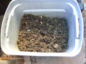 A mix of coconut coir and chopped kitchen scraps makes a great food to give your worms when you are gone for a few week